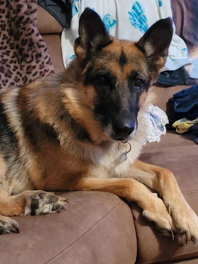 Moyers Veterinary Hospital — customer photo 6