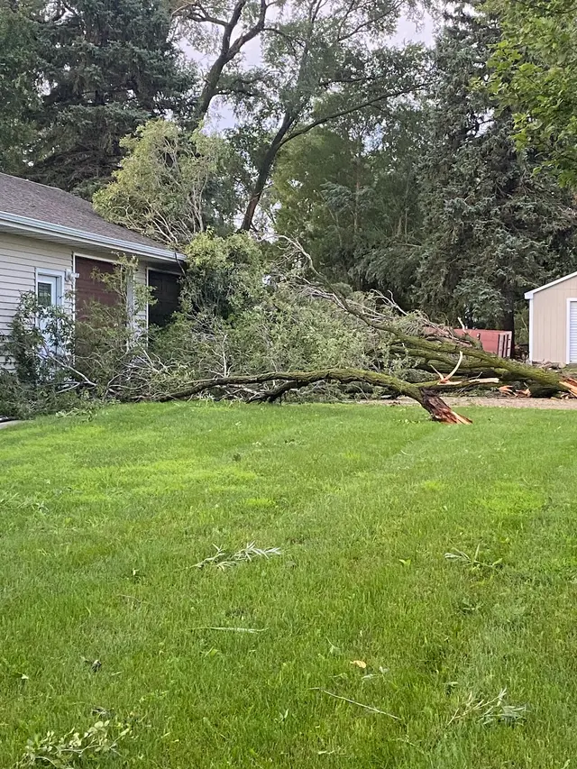 Curt's Seamless Gutters — photo from the business 9