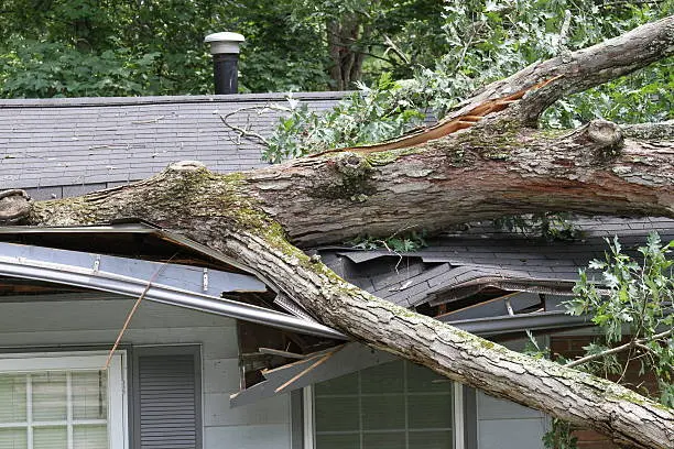 Curt's Seamless Gutters — photo from the business 6