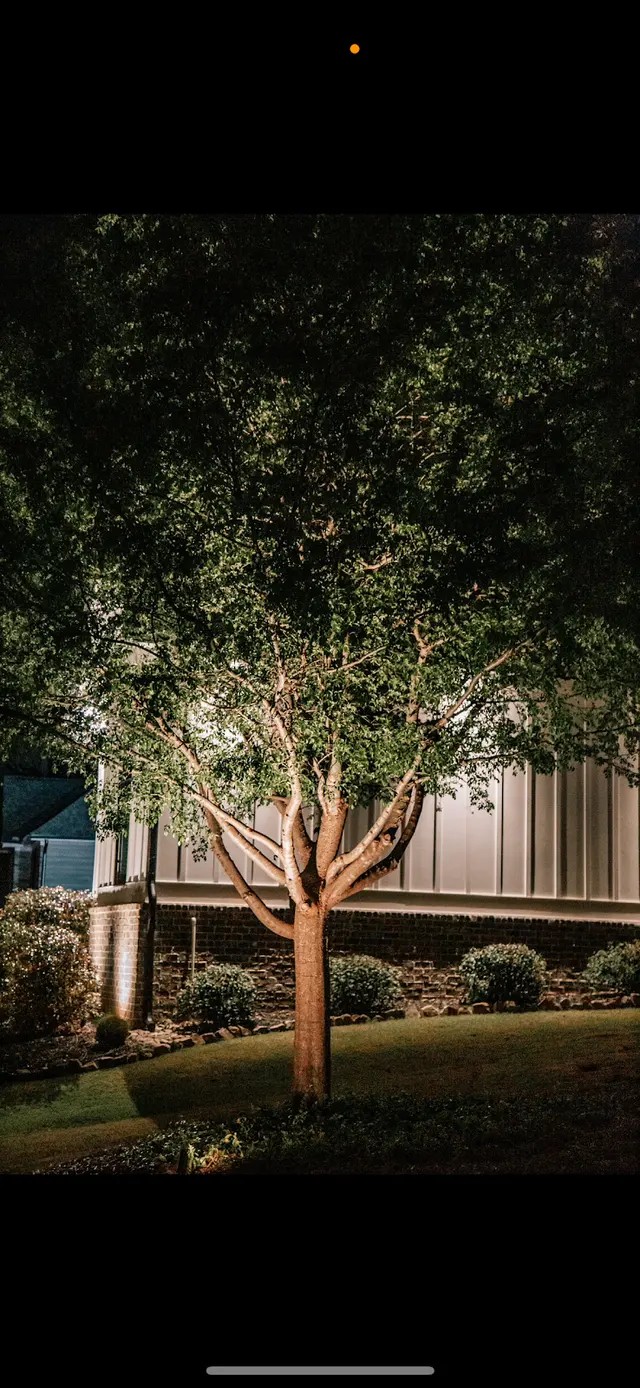 Lightscapes Lighting Systems — photo from the business 12