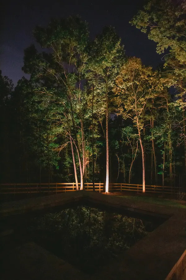 Lightscapes Lighting Systems — photo from the business 11