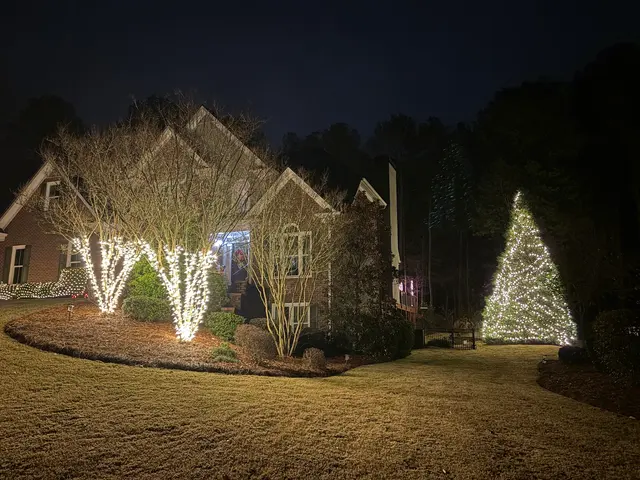 Athens Christmas Lights — customer photo 7