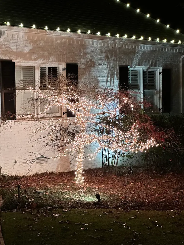 Athens Christmas Lights — customer photo 6