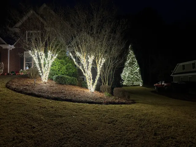 Athens Christmas Lights — photo from the business 4