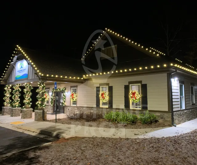 Lighting Pros — photo from the business 6