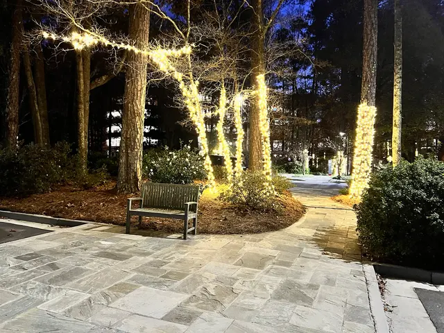 Lighting Pros — customer photo 3