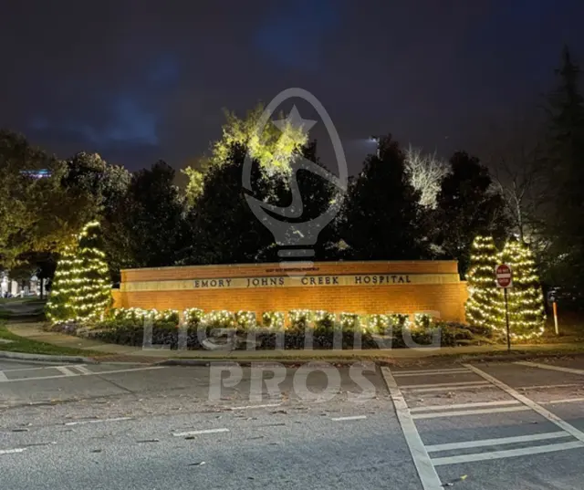 Lighting Pros — photo from the business 12