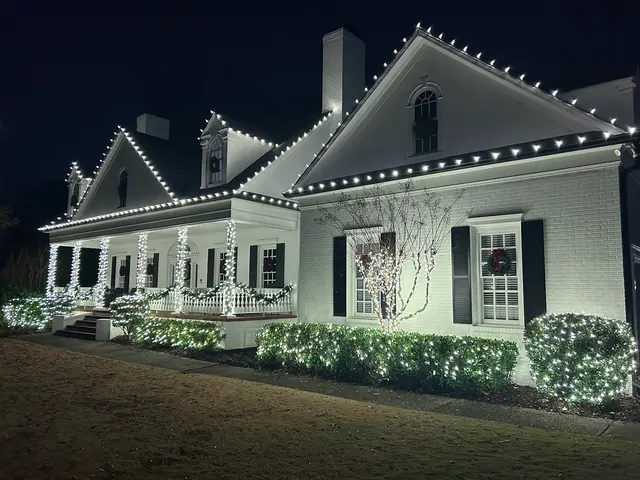 Customer photo of work by Lighting Pros, from Brad Rosenkampff's review