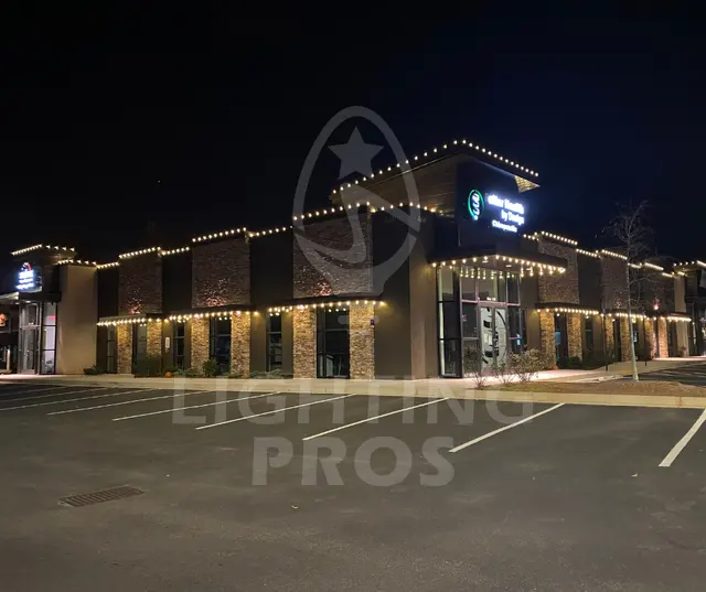 Lighting Pros — photo from the business 10