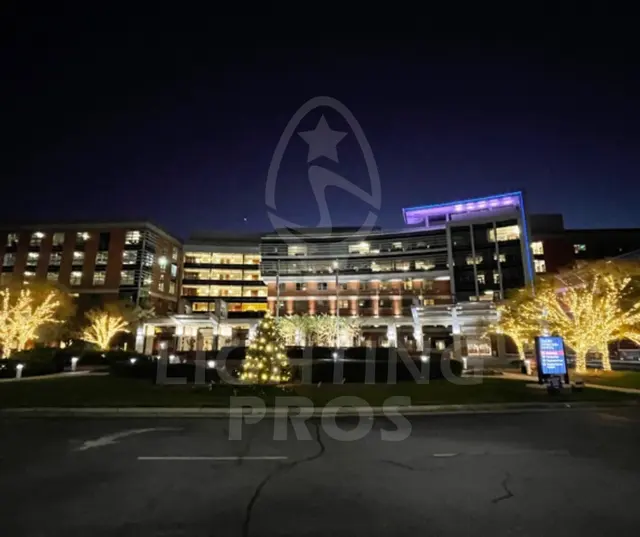 Lighting Pros — photo from the business 7