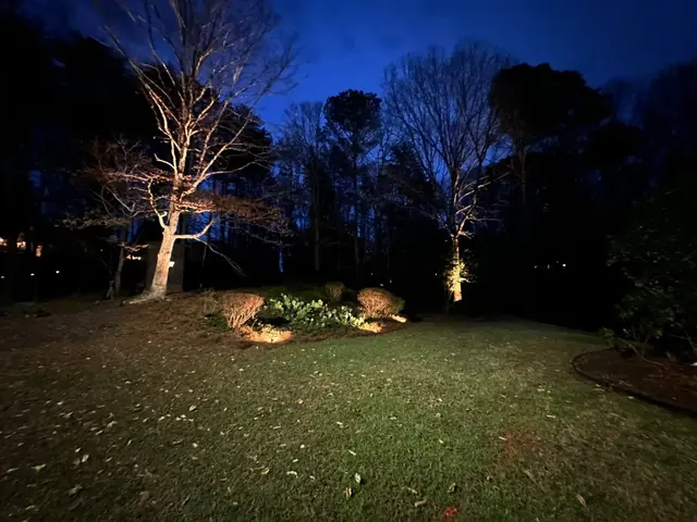 Lights All Year — photo from the business 5