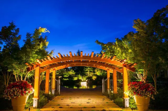 Lights All Year — photo from the business 10