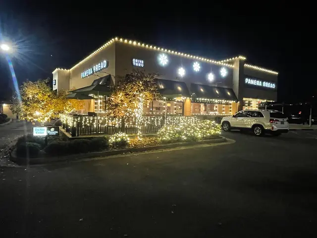Lights All Year — photo from the business 1