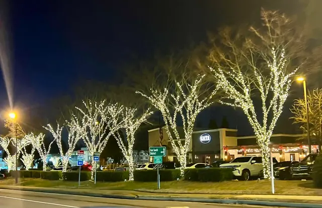 Lights All Year — photo from the business 4