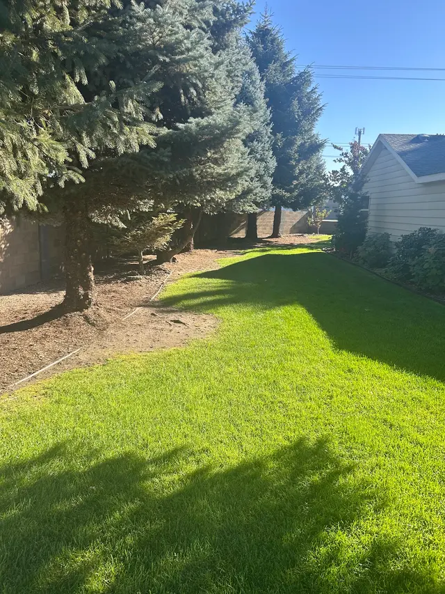 Wine Country Landscaping — customer photo 10