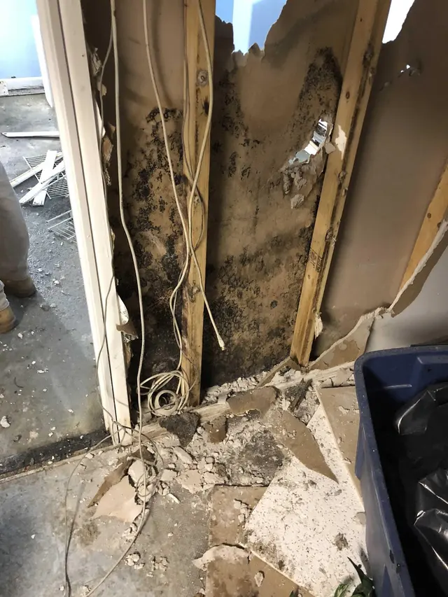 Restoration 1 of Cary — photo from the business 3