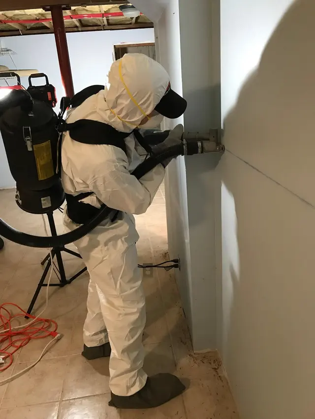 Restoration 1 of Cary — photo from the business 1