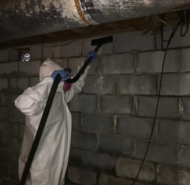 Restoration 1 of Cary — photo from the business 2