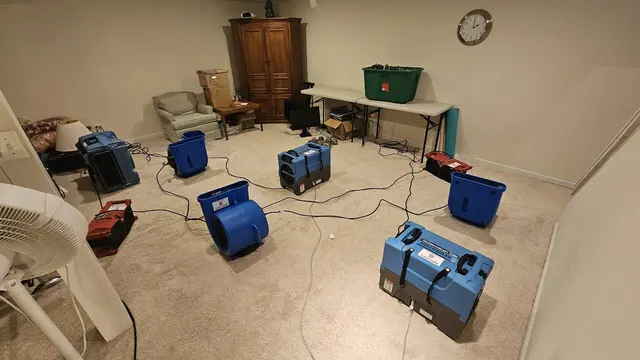 Hydro Shield — photo from the business 3