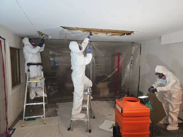 AdvantaClean of NW Chicagoland — photo from the business 8