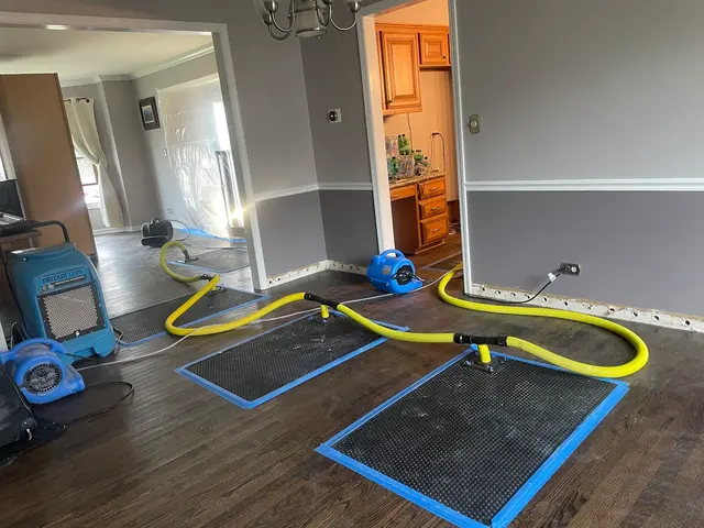 Precision Restoration — photo from the business 4