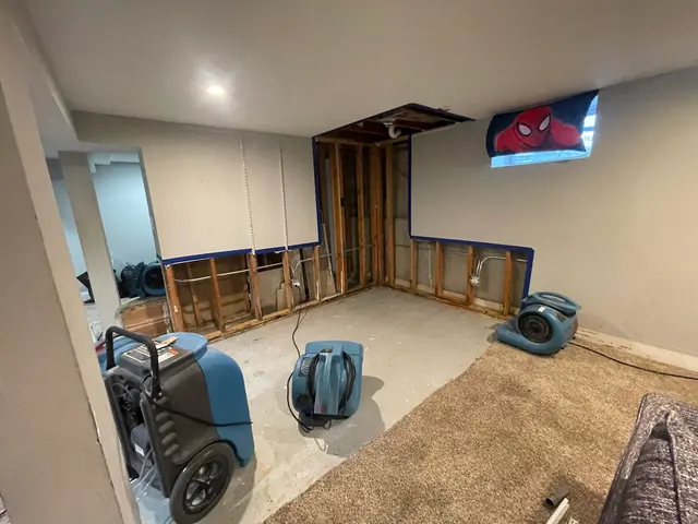 Precision Restoration — photo from the business 3