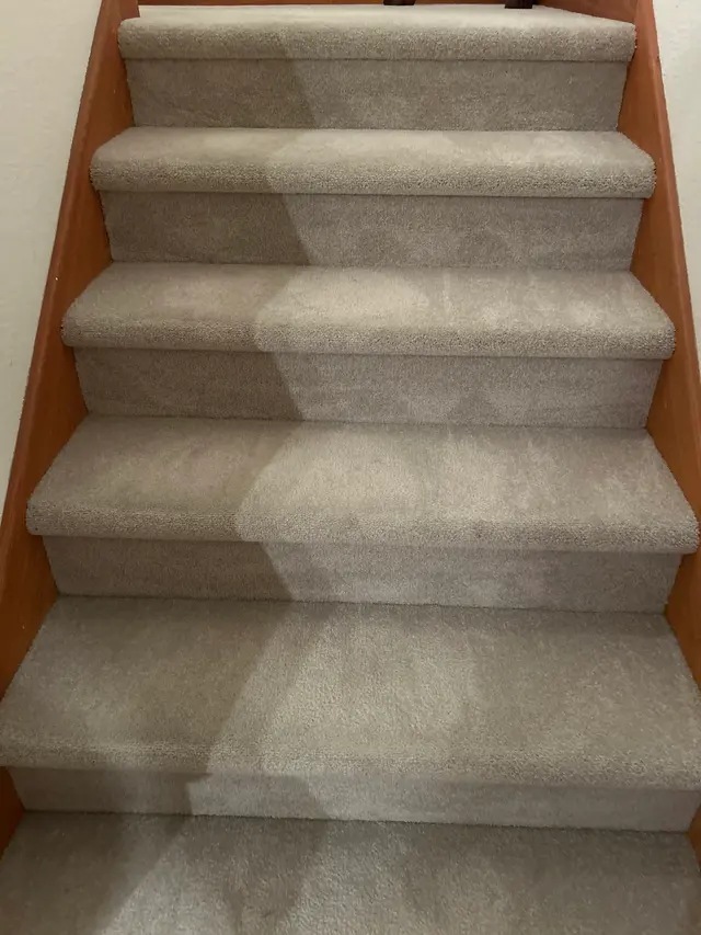 Albemarle Fabric & Floor Care — customer photo 7