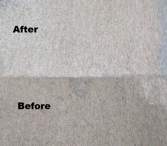 Barefoot Floor & Fabric Care — photo from the business 9