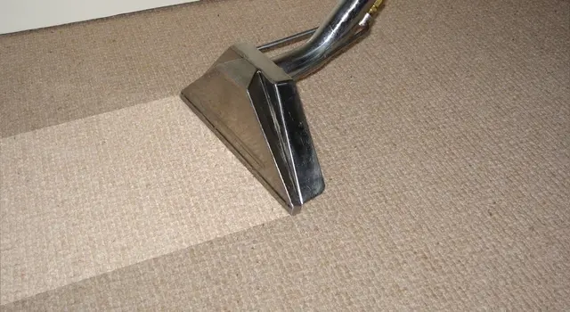 Barefoot Floor & Fabric Care — photo from the business 5