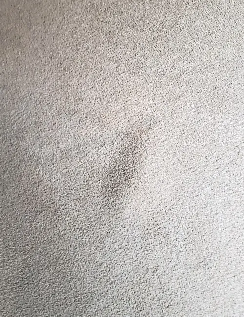 Barefoot Floor & Fabric Care — photo from the business 12