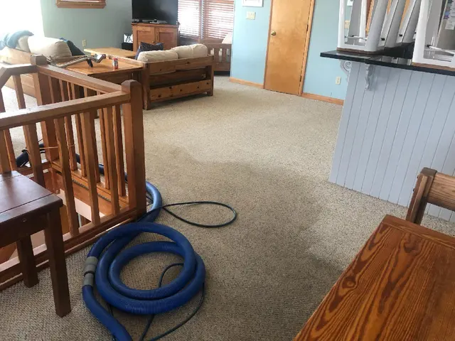 Barefoot Floor & Fabric Care — photo from the business 1