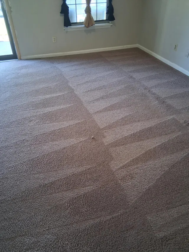 Oxi Fresh Carpet Cleaning — customer photo 2