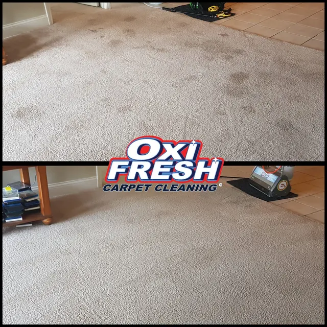Oxi Fresh Carpet Cleaning — photo from the business 4