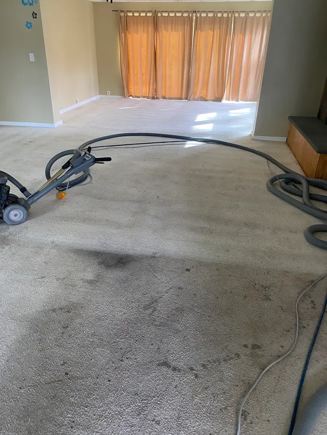 Kill Devil Hills Chem-Dry — photo from the business 5