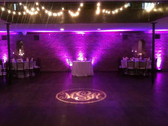 Elegante Entertainment — photo from the business 10