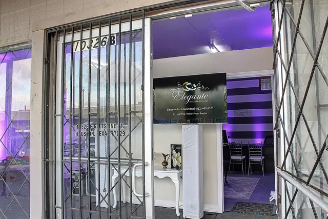 Elegante Entertainment — photo from the business 3