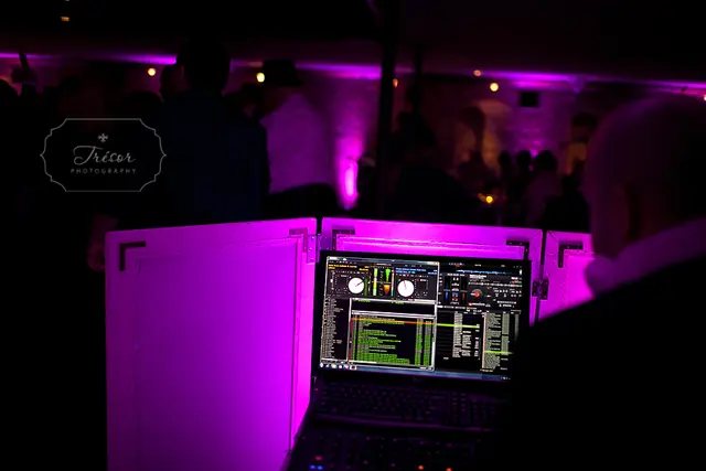 Elegante Entertainment — photo from the business 7