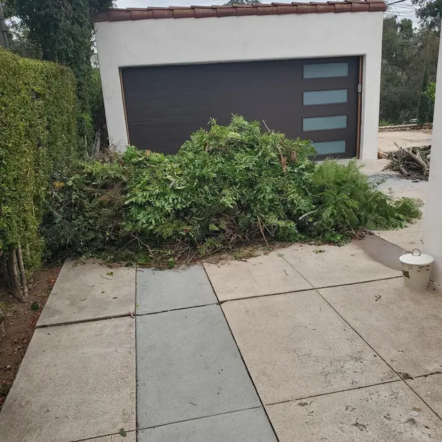 Eastlake Hauling and Junk Removal LLC — customer photo 4