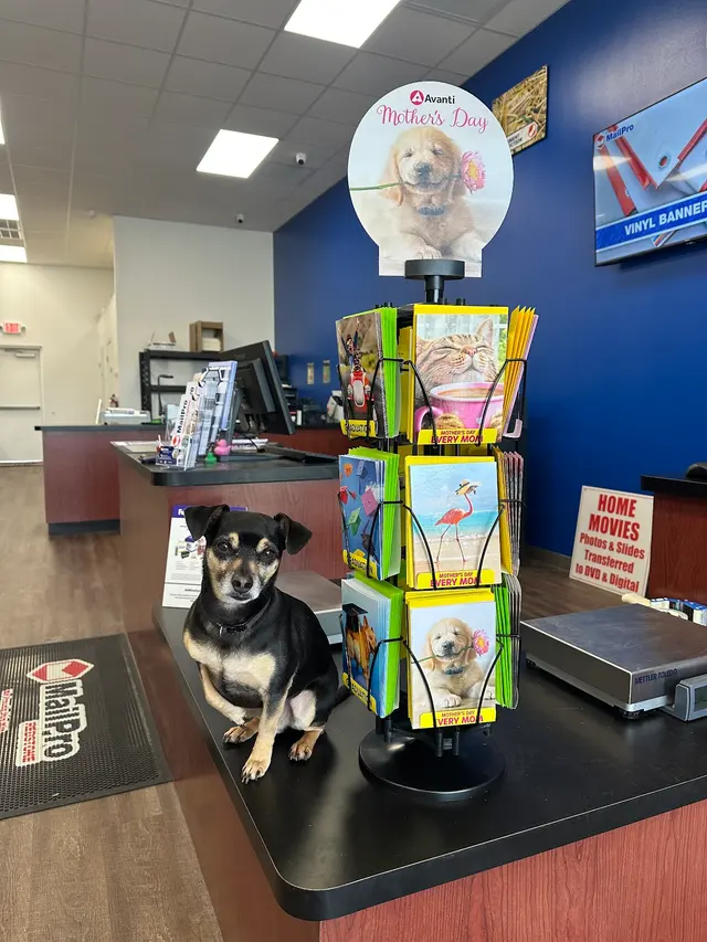 MailPro Redstone — customer photo 8