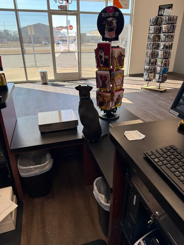MailPro Redstone — customer photo 11
