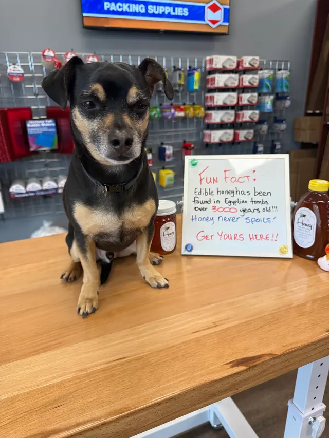 MailPro Redstone — customer photo 7