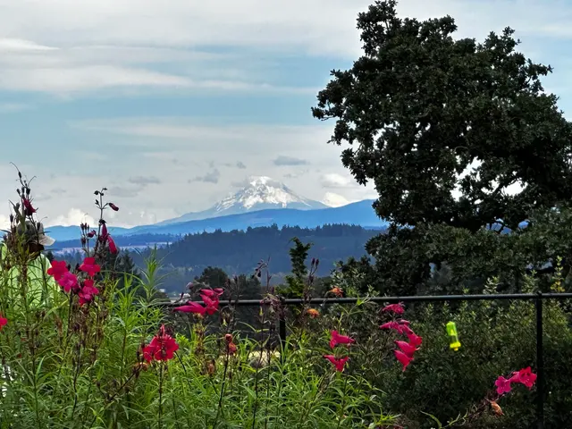 Customer photo of work by Boone Ridge Senior Living Community, from Terri Ellen's review