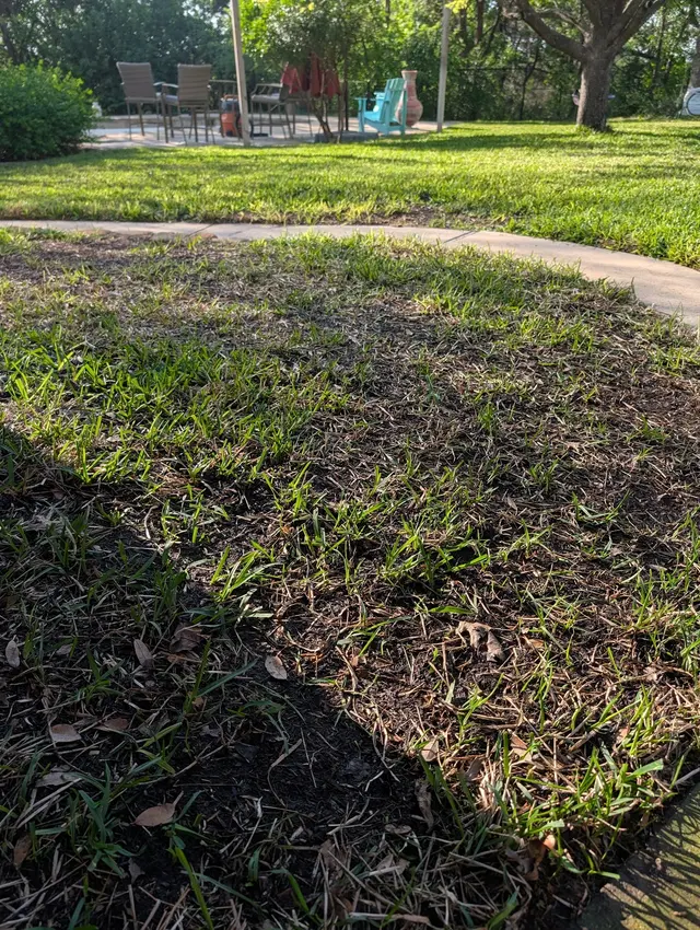 Customer photo of work by Lakeview Landscape Design, from Ryan Piper's review