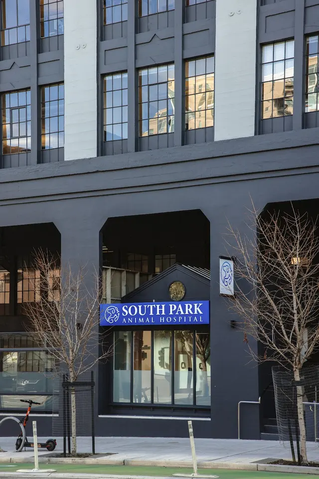 South Park Animal Hospital — photo from the business 8
