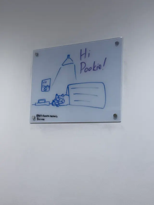 South Park Animal Hospital — customer photo 12
