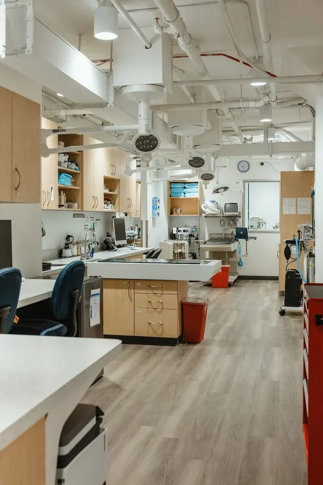 South Park Animal Hospital — photo from the business 6