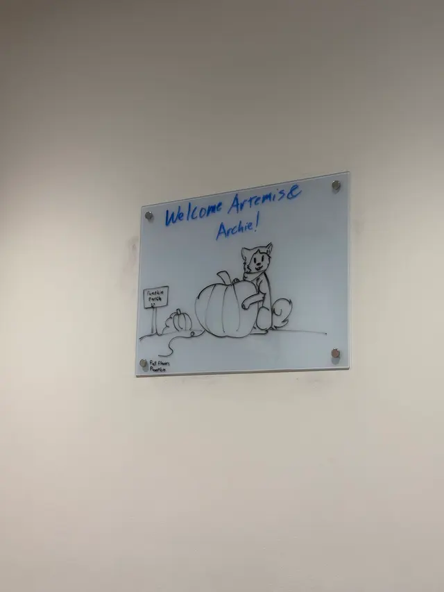 Customer photo of work by South Park Animal Hospital, from Shai-Lyng Cheng's review