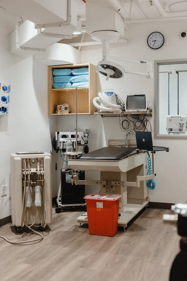 South Park Animal Hospital — photo from the business 4