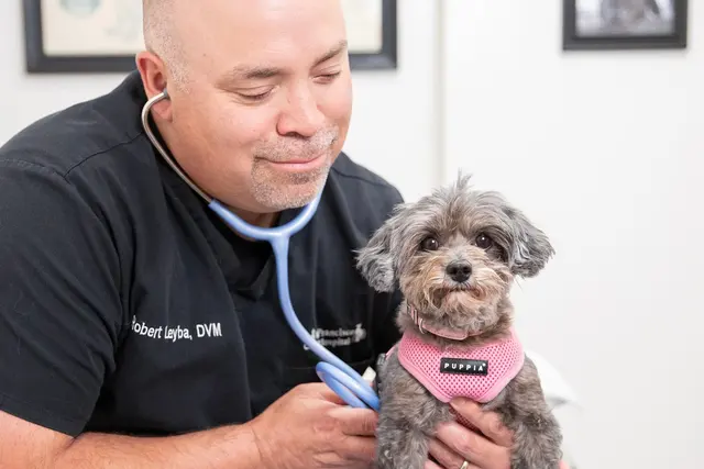 San Francisco Pet Hospital — photo from the business 2