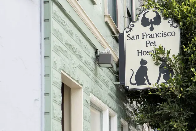 San Francisco Pet Hospital — photo from the business 1